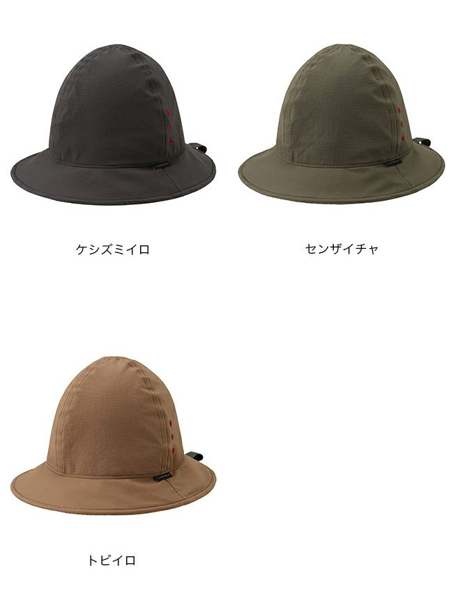 Amazon.co.jp: [アクシーズクイン] ヤマボウシ Air M