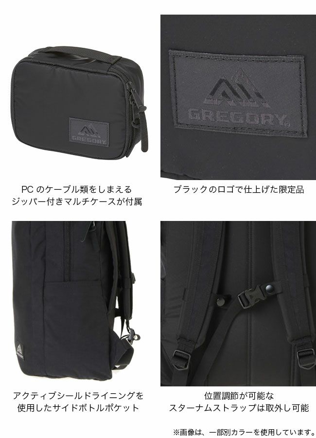 GREGORY グレゴリー カバートソリッドデイ｜Outdoor Style サンデー