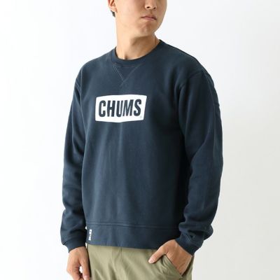 patagonia パタゴニア ショップステッカーアップライザル