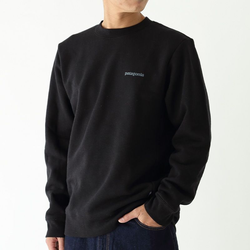 patagonia パタゴニア フィッツロイアイコンアップライザルクルー 
