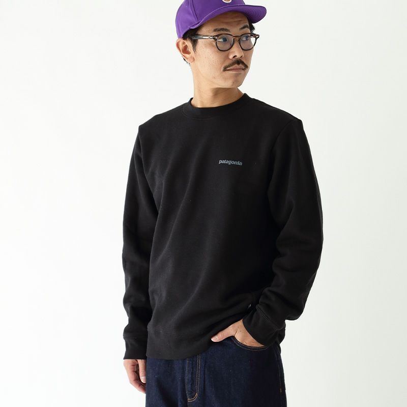 patagonia パタゴニア フィッツロイアイコンアップライザルクルー