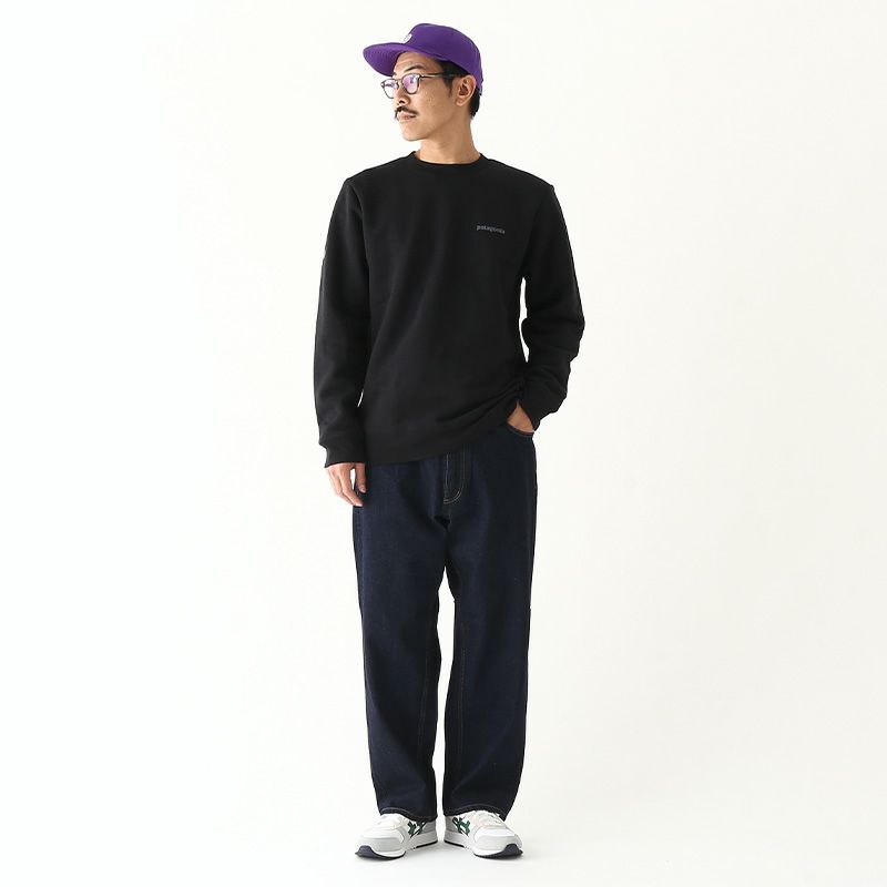 patagonia パタゴニア フィッツロイアイコンアップライザル