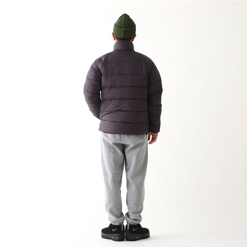 patagonia パタゴニア フィッツロイアイコンアップライザル