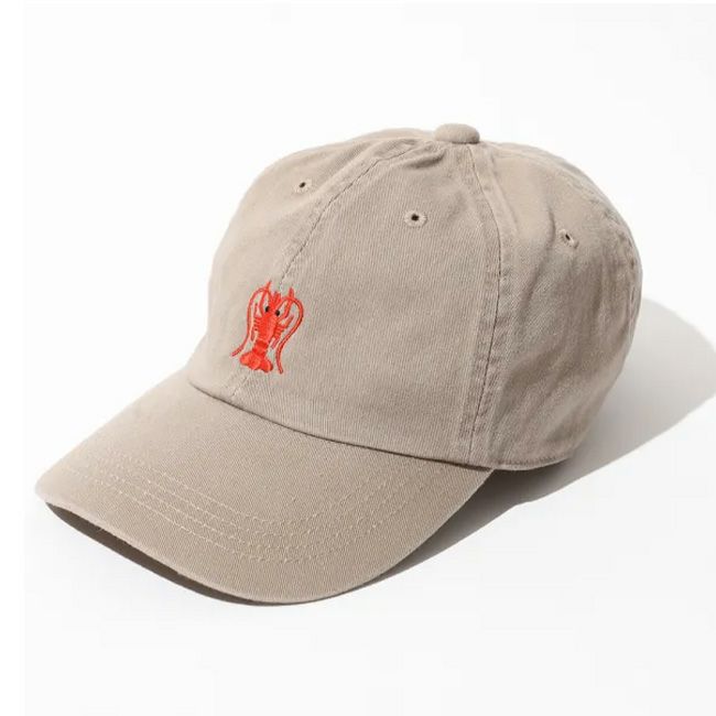 devadurga デヴァドゥルガ エビキャップ