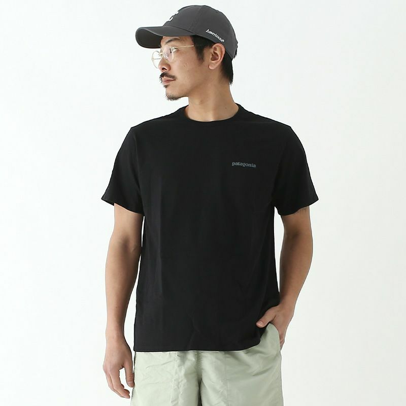 patagonia パタゴニア フィッツロイアイコンレスポンシビリTee