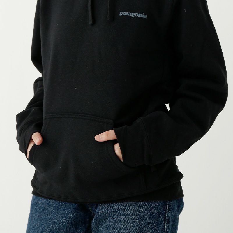 patagonia パタゴニア フィッツロイアイコンアップライザル