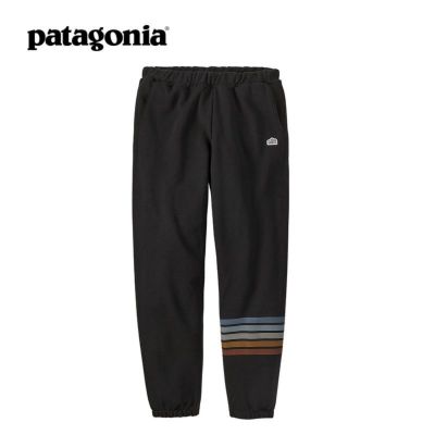 patagonia パタゴニア フィッツロイアイコンアップライザル