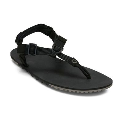 新品ゼロシューズ XEROSHOES　ジェネシス　24cm(M6W7)　ブラック 0219221433_67b5d939647c8.jpg