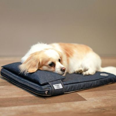 Wildingout ワイルディングアウト チェア1987｜SUNDAY MOUNTAIN