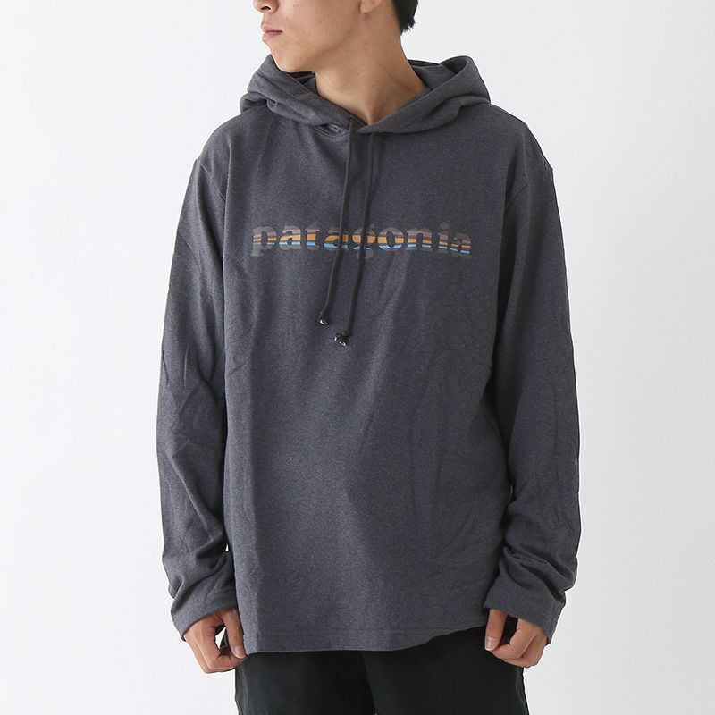 patagonia パタゴニア LW'73テキストロゴワイルドライズフーディ