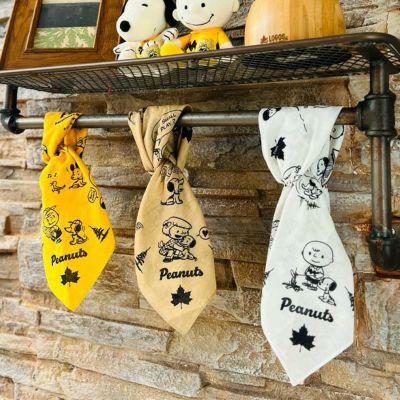LOGOS ロゴス LOGOS 鉄の職人たき火パン24｜SUNDAY MOUNTAIN