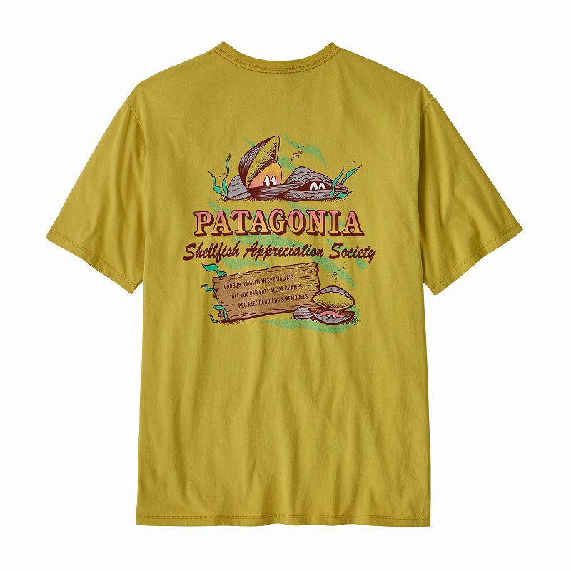 patagonia パタゴニア アクアティックアクションオーガニックT