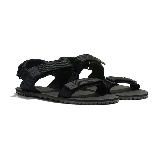 XEROSHOES ゼロシューズ Dトレイル メンズ