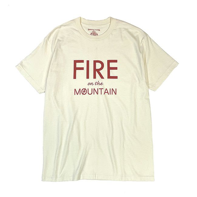 DOWN ON THE CORNER ダウン・オン・ザ・コーナー S/S TEE[ファイヤーオンザマウンテン]