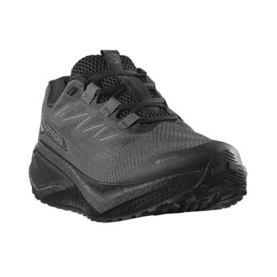 Timberland ティンバーランド モックトゥGTX｜SUNDAY MOUNTAIN